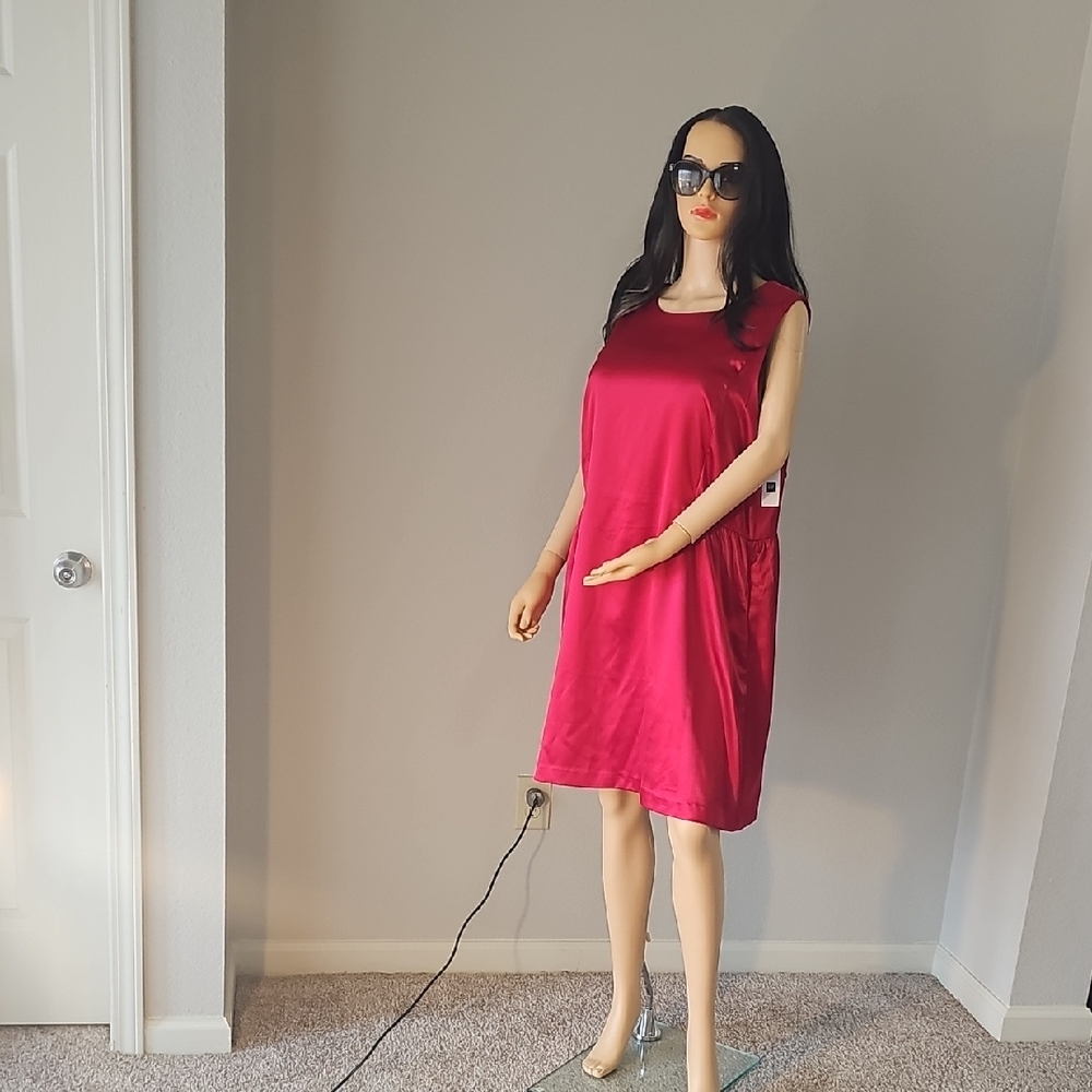 GAP Women's Red Dress